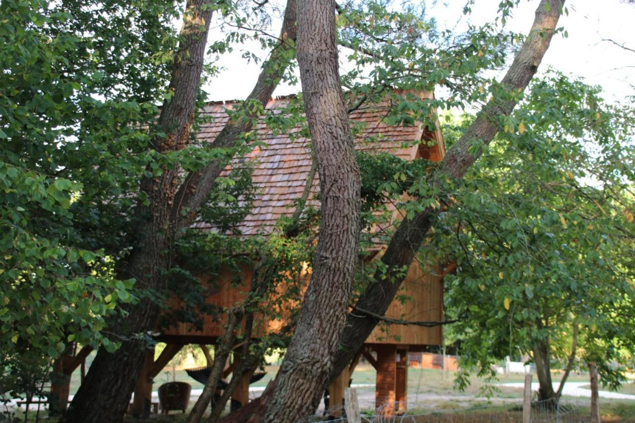 Ecolodge Beauregard تريجني المظهر الخارجي الصورة