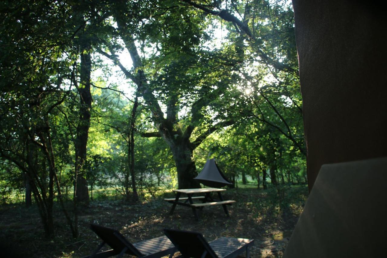 Ecolodge Beauregard تريجني المظهر الخارجي الصورة