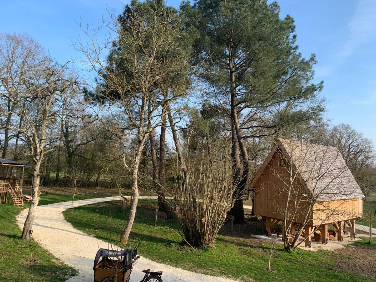 Ecolodge Beauregard تريجني المظهر الخارجي الصورة