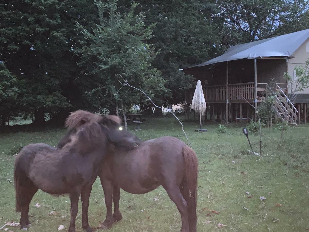 Ecolodge Beauregard تريجني المظهر الخارجي الصورة