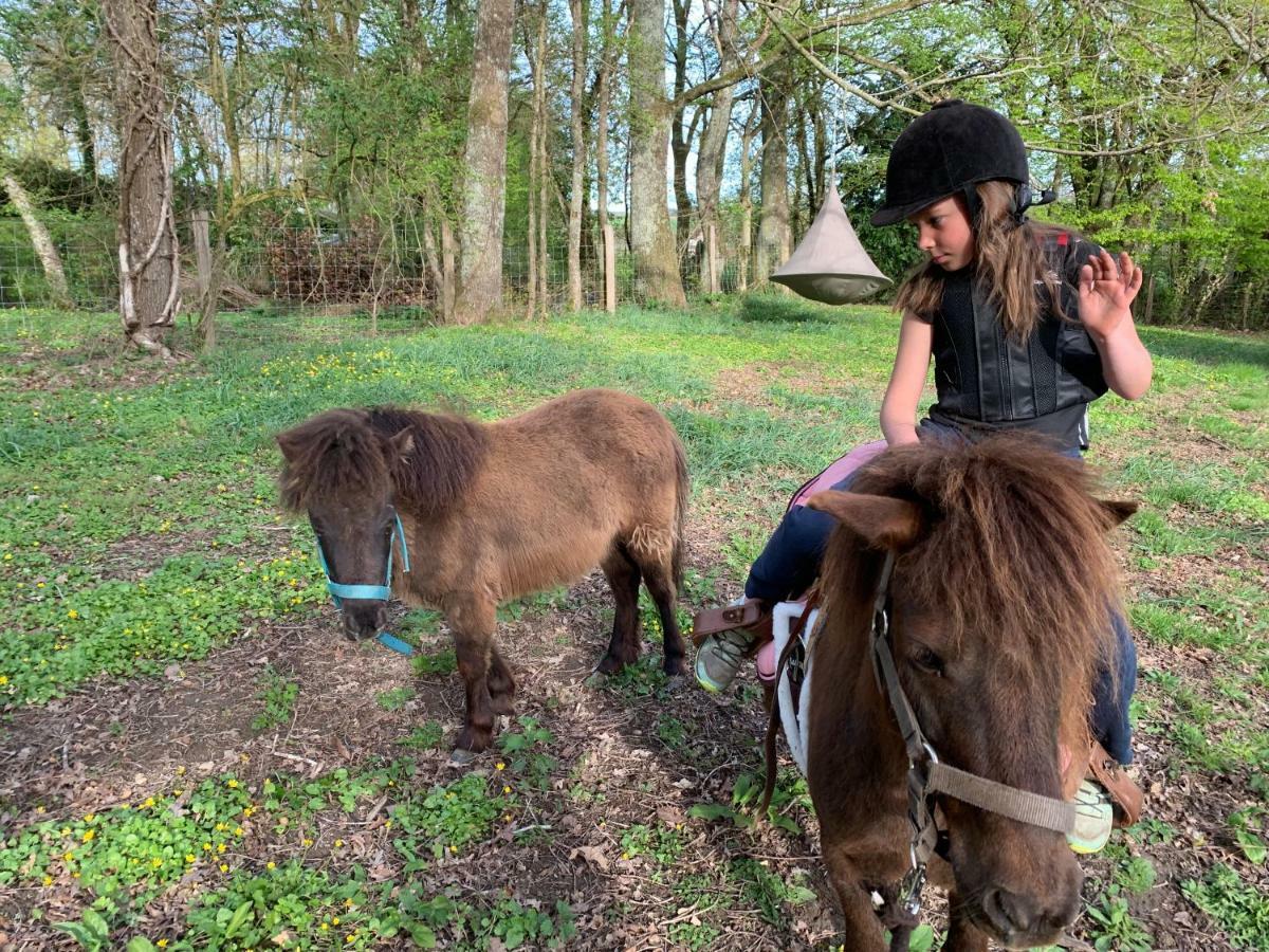 Ecolodge Beauregard تريجني المظهر الخارجي الصورة